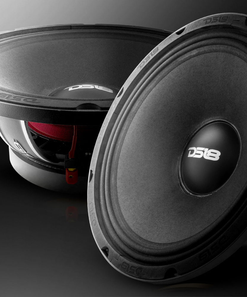 Tung 12-tums midbas med svart kon och robust ram, märkning DS18.