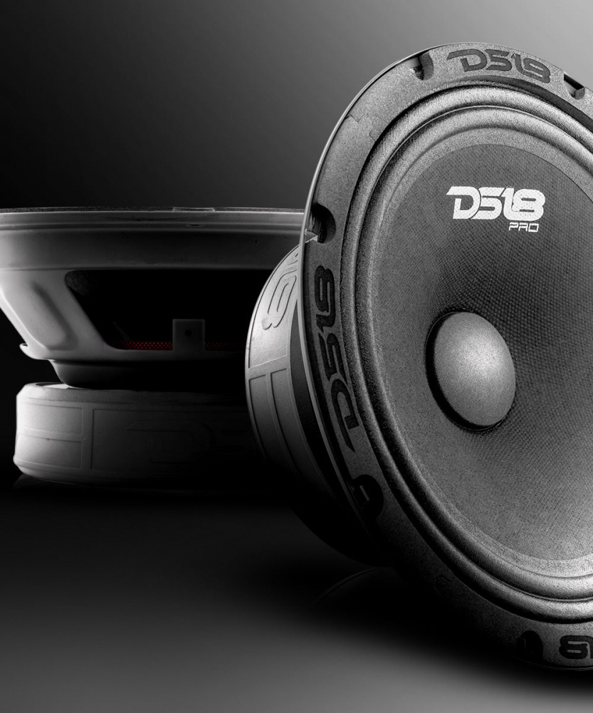 En 8 tum midbas högtalare från DS18 PRO-GM8.4.