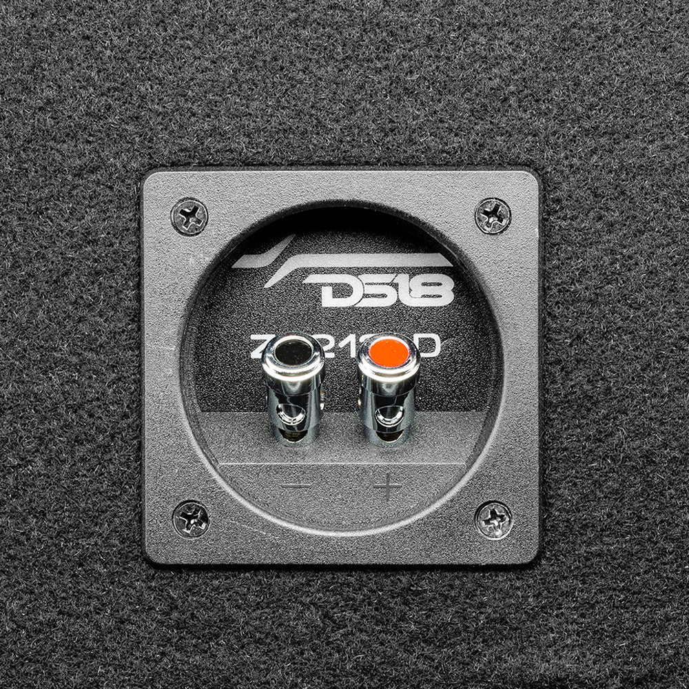 DS18 ZR212LD, portad 2x12 tums baslåda, returxemplar