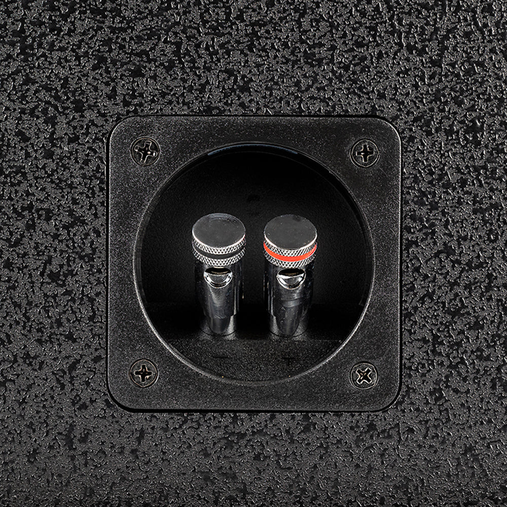 Högtalaranslutningar för en 2x12 tums baslåda.