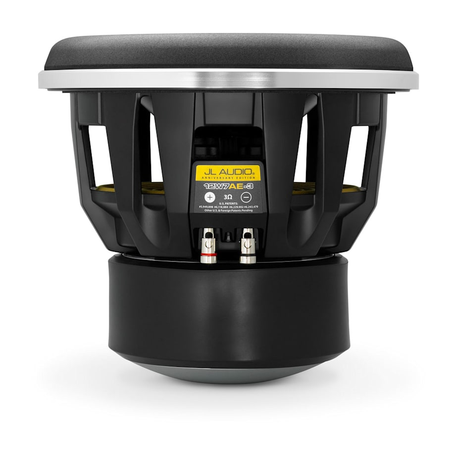 Ett 12 tums baselement med robust design och anslutningar.