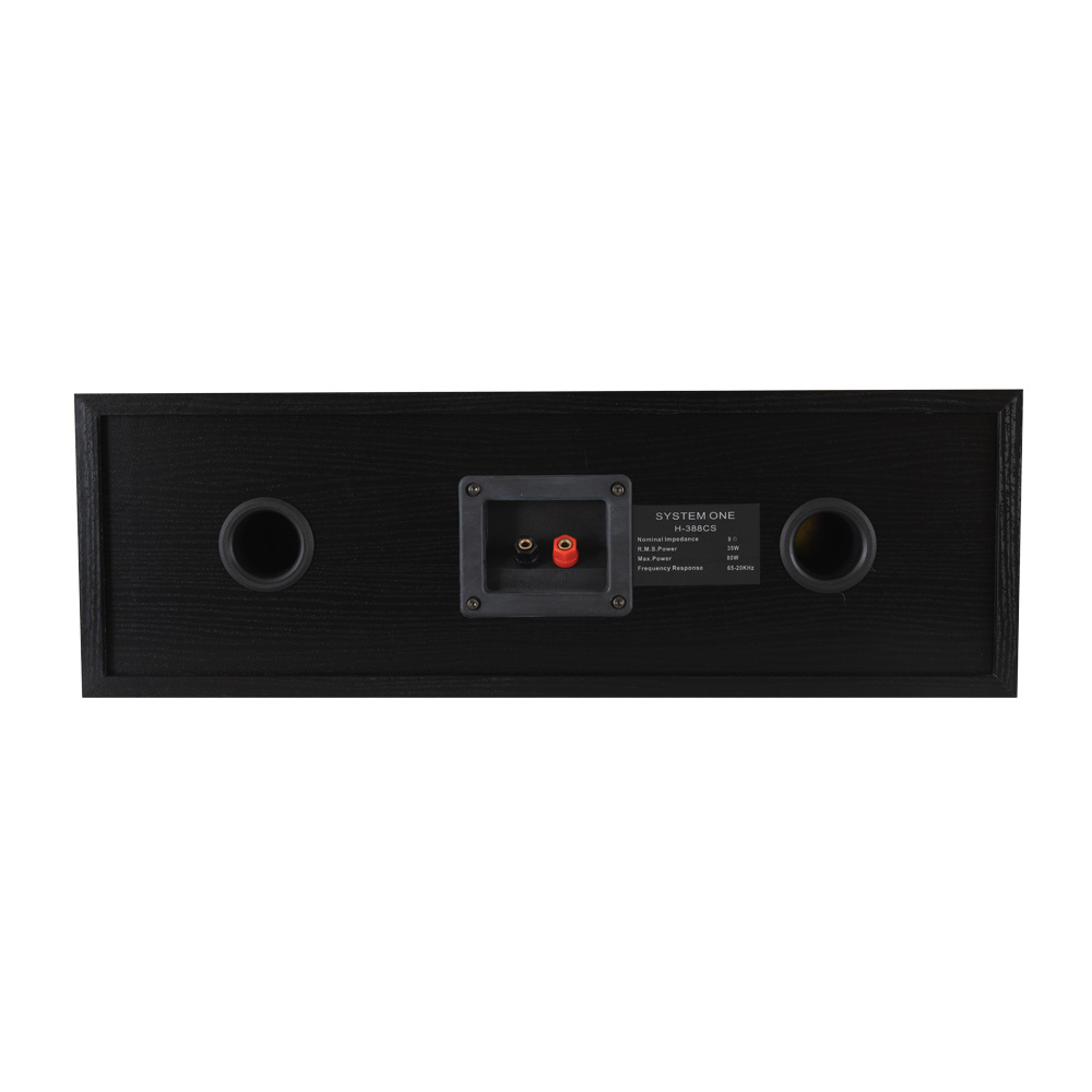 En svart högtalare med anslutningsportar och två basreflexöppningar.