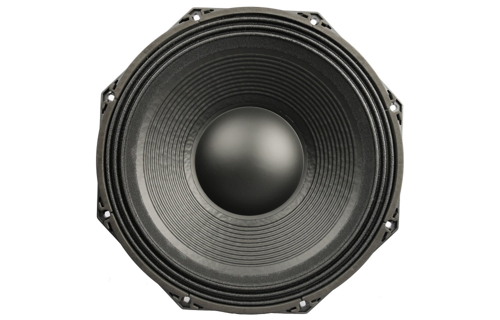 En stor svart högtalardrivrutin med en rund, slät mittdel.