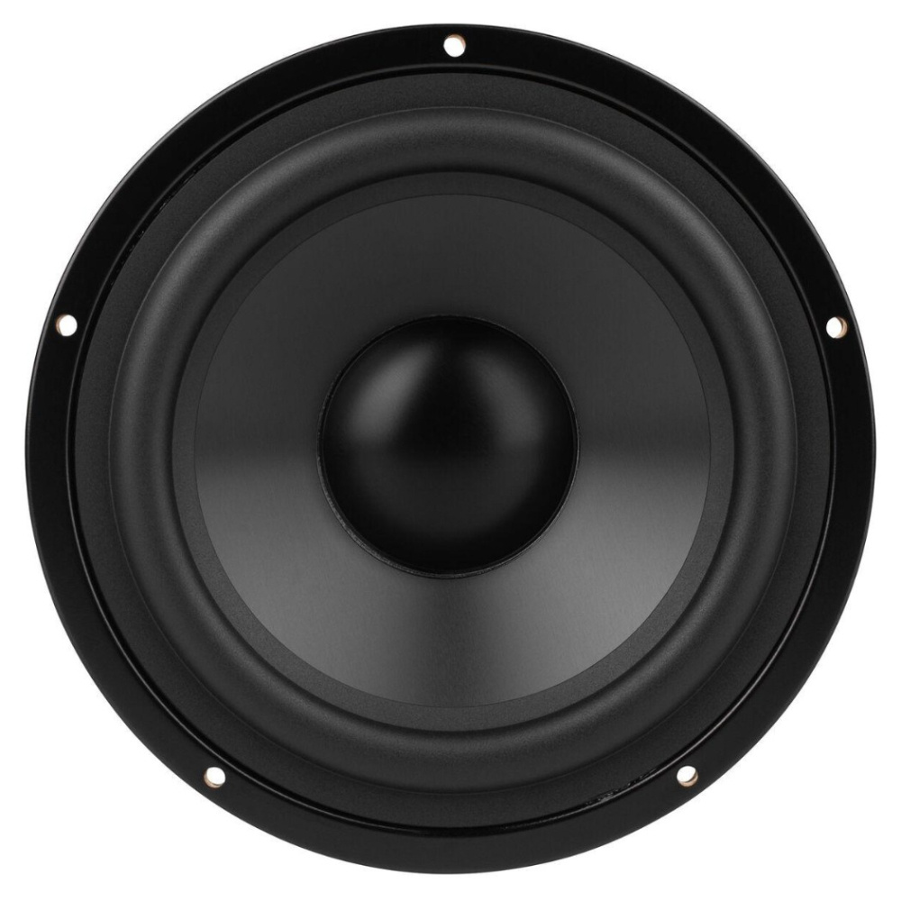 Dayton Audio DSA175-PR, 6.5 tums slavbas