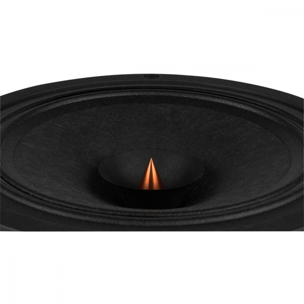 Ett svart högtalarelement med en konisk membran och en kopparfärgad spole i mitten.