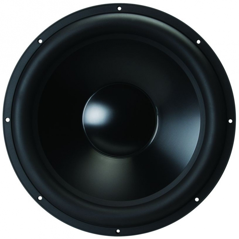 En stor svart högtalare med konvex mässingsdiskant.