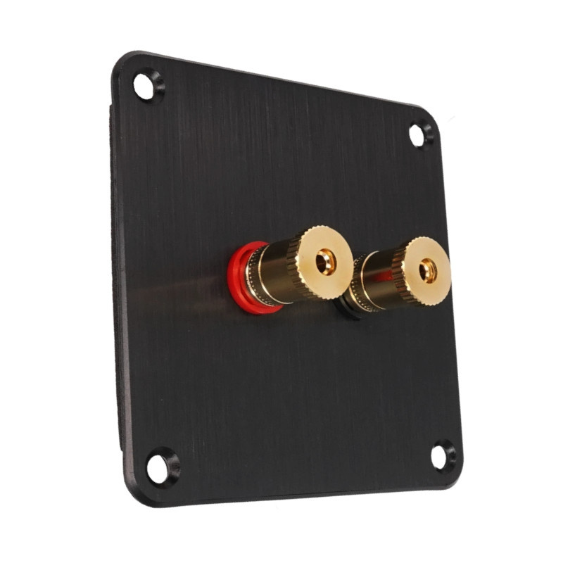 Svart terminalplatta med två guldpläterade högtalaranslutningar.