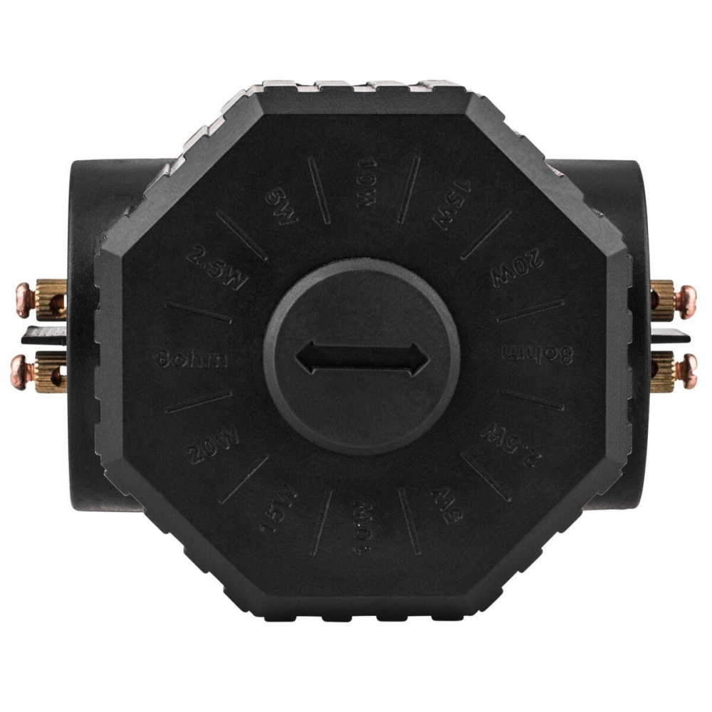 Transformator för högtalare, omvandlar 8 Ohm till 70/100V, med effektjustering.