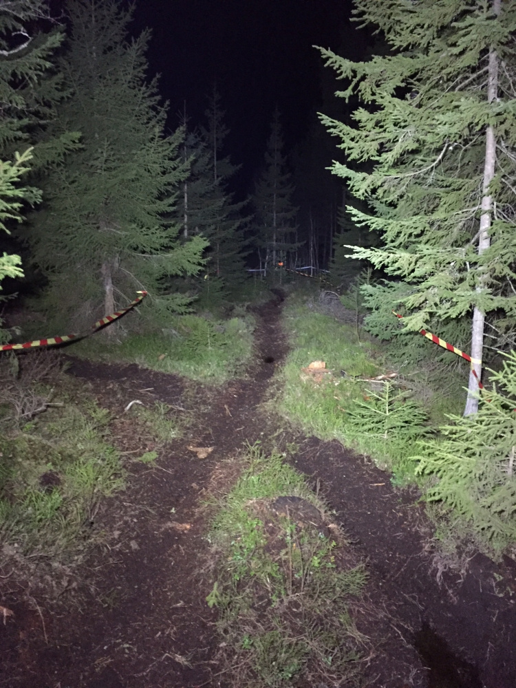 Strands Arbetsbelysning 60W