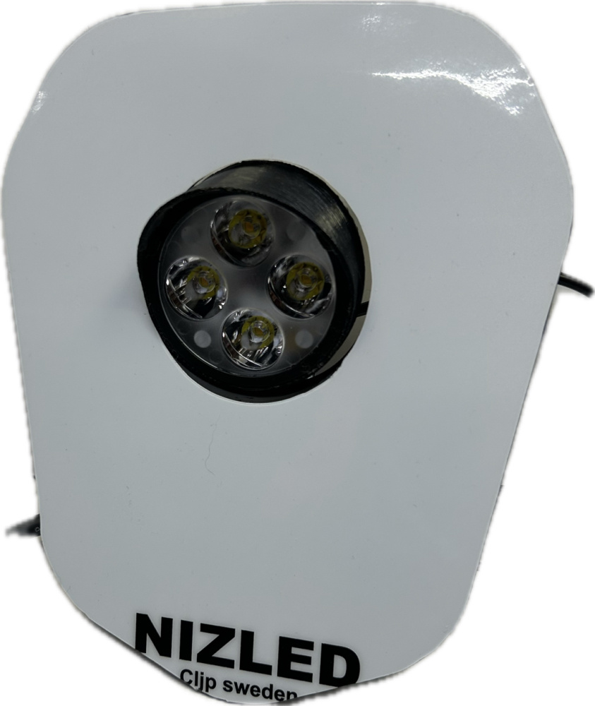 Singelljus varmvit 50w Triumph 2024-, vit dekal, 1xE405k NIZLED