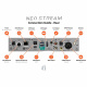 iFi Audio NEO Stream, nätverksspelare med Tidal Connect, Roon & AirPlay Anslutningsguide för iFi Audio NEO Stream med olika portar och funktioner.