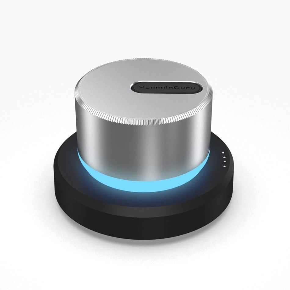 HumminGuru LUMI Record Stabilizer, skivpuck