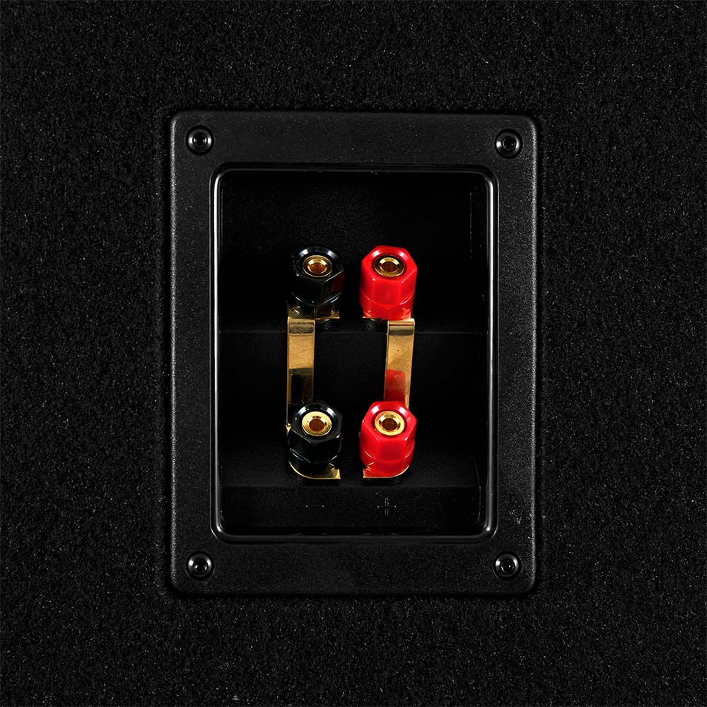 GAS MAD B1-210, 2x10 tum baslåda