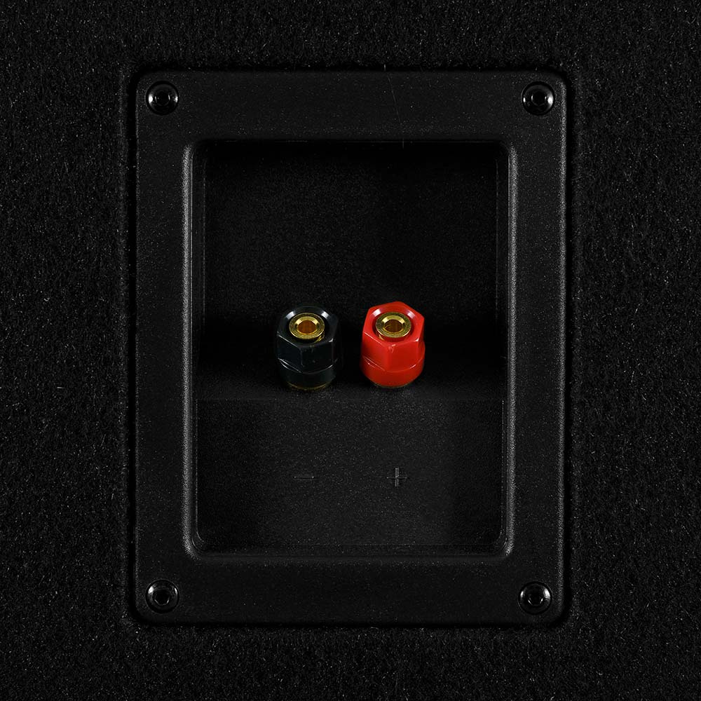 Par av högtalaranslutningar i röd och grön, monterade på en baslåda.