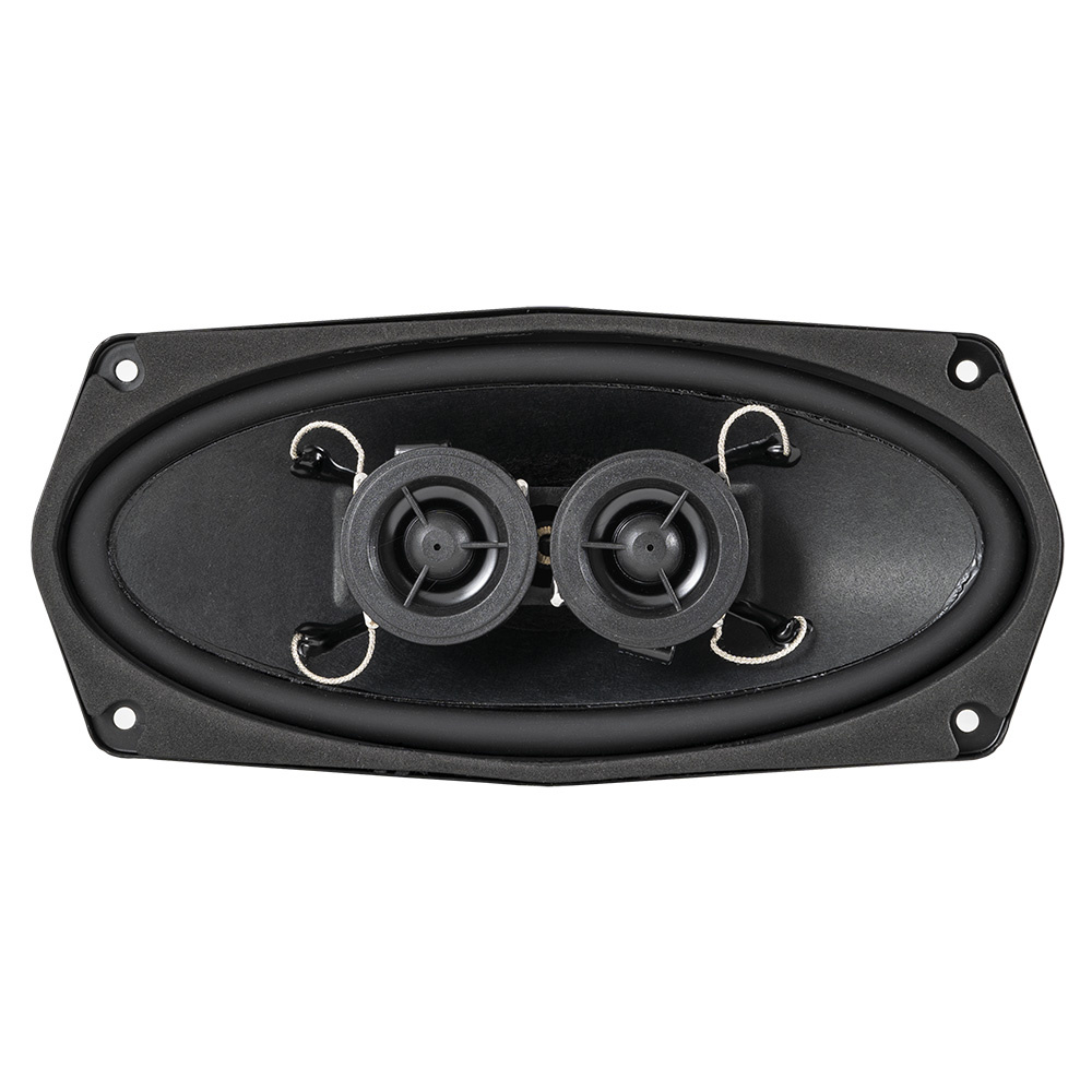 Högtalare med två element i en oval ram. Svart design.