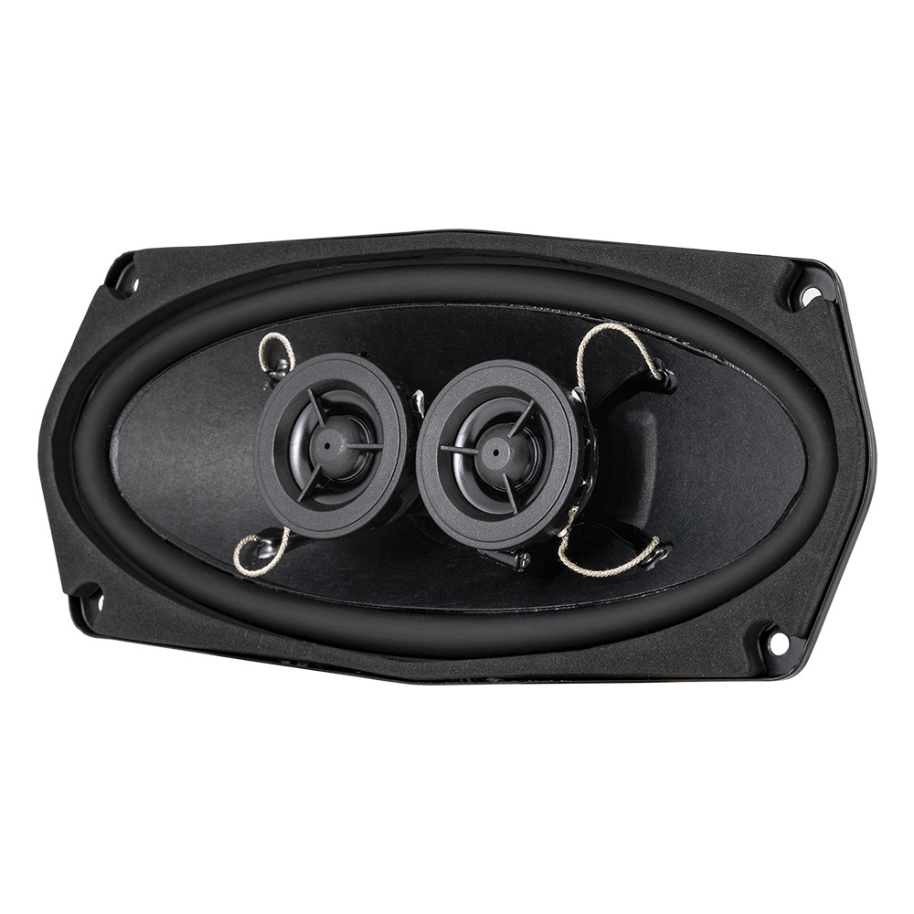 Högtalare med två små element i en oval design för stereoanvändning.