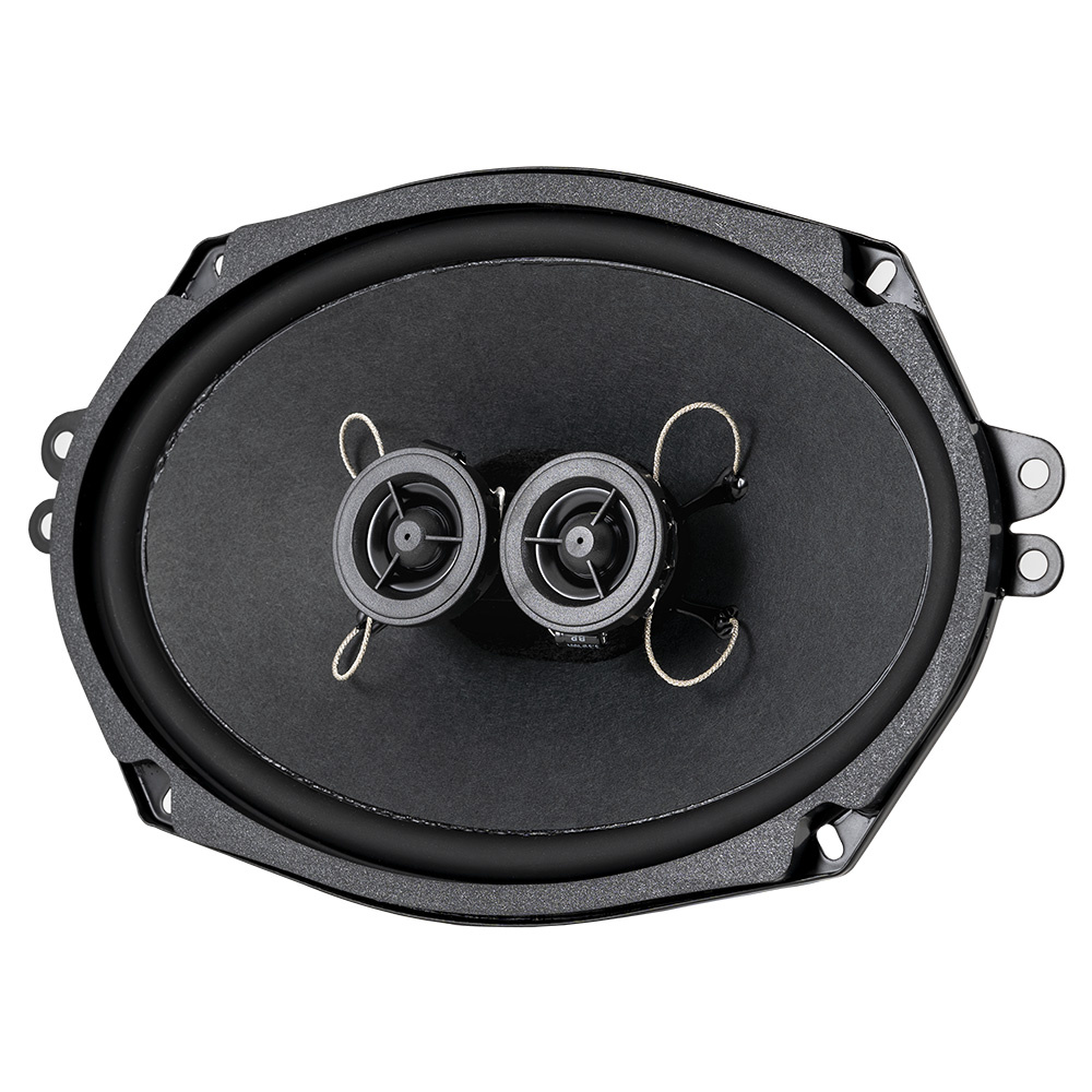 En oval högtalare med två element för stereo.