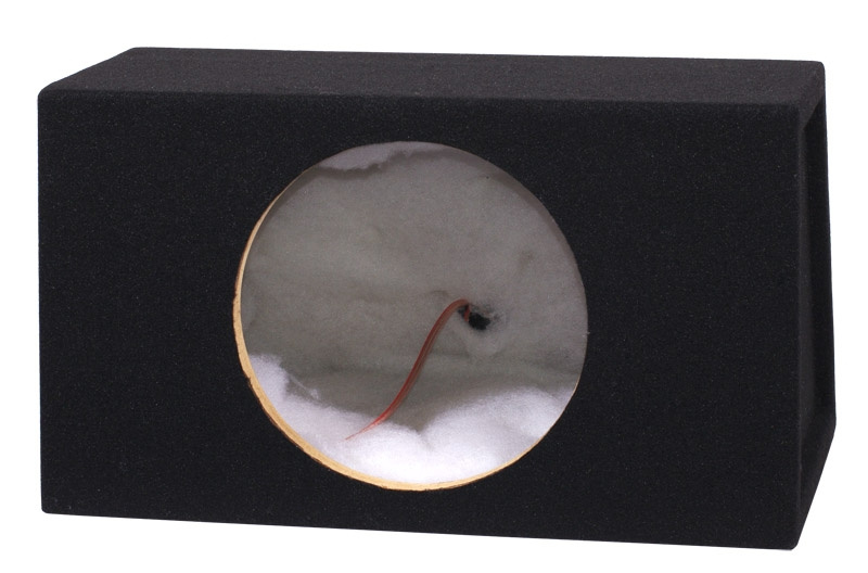 GAS GS112 1x12 tum sluten låda