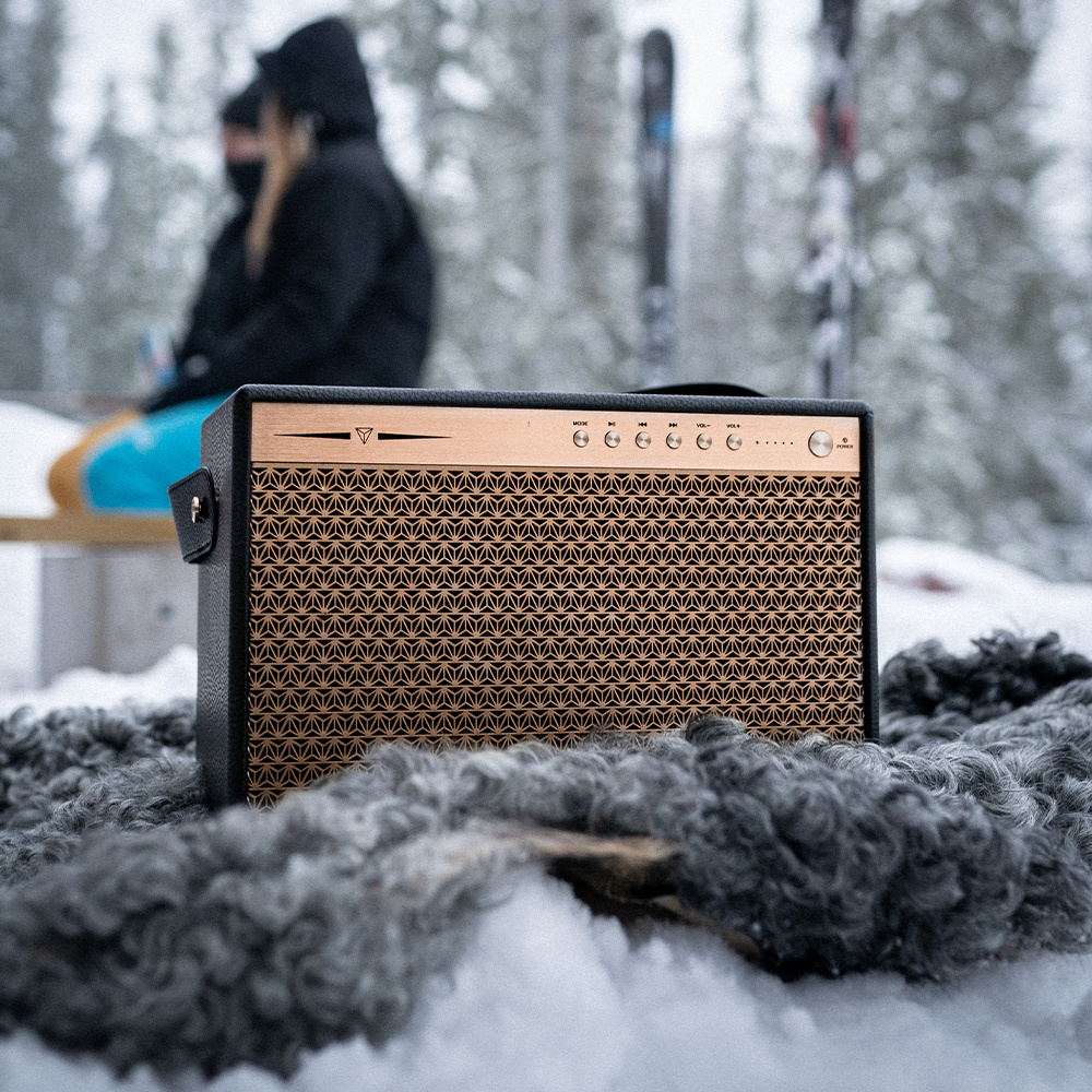 En Bluetooth-högtalare med en läderliknande design står på snö.