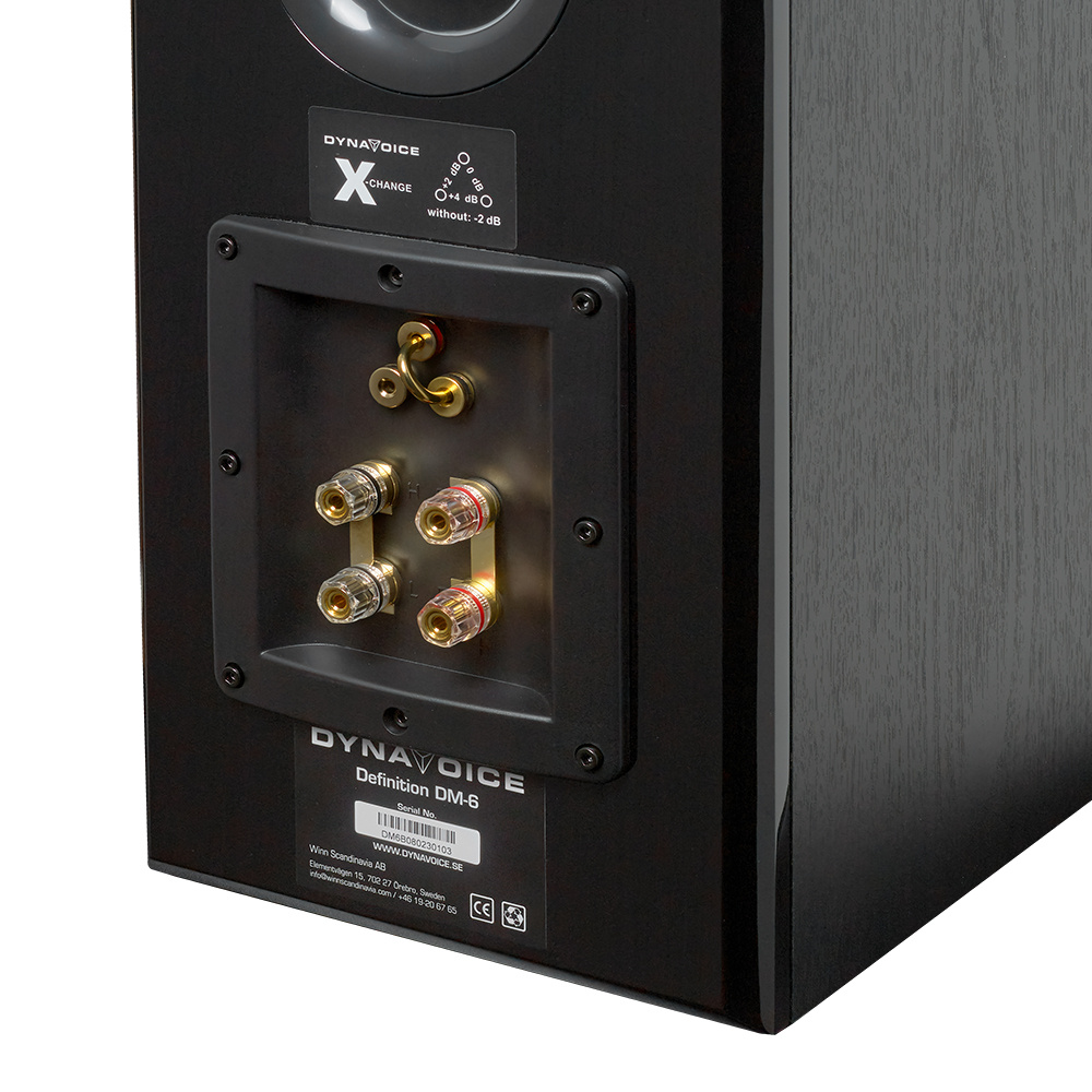 Dynavoice Definition DM-6 Stativhögtalare, svart par