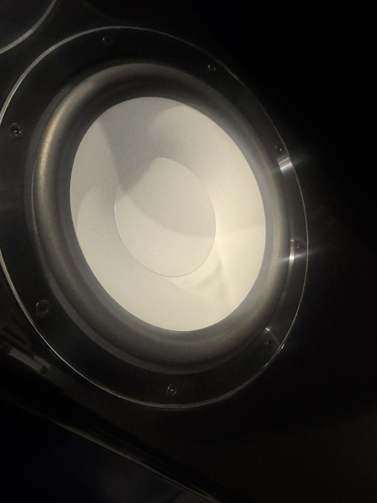 En svart kolonn med en vit högtalarelement.