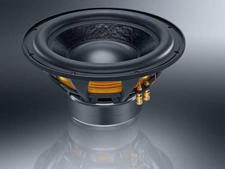 En subwoofer med en stor element och robust konstruktion för djup basåtergivning.