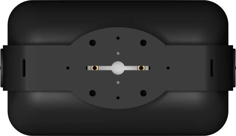 Wiim Amp Pro & svarta utomhushögtalare från Sonos och Sonance, par