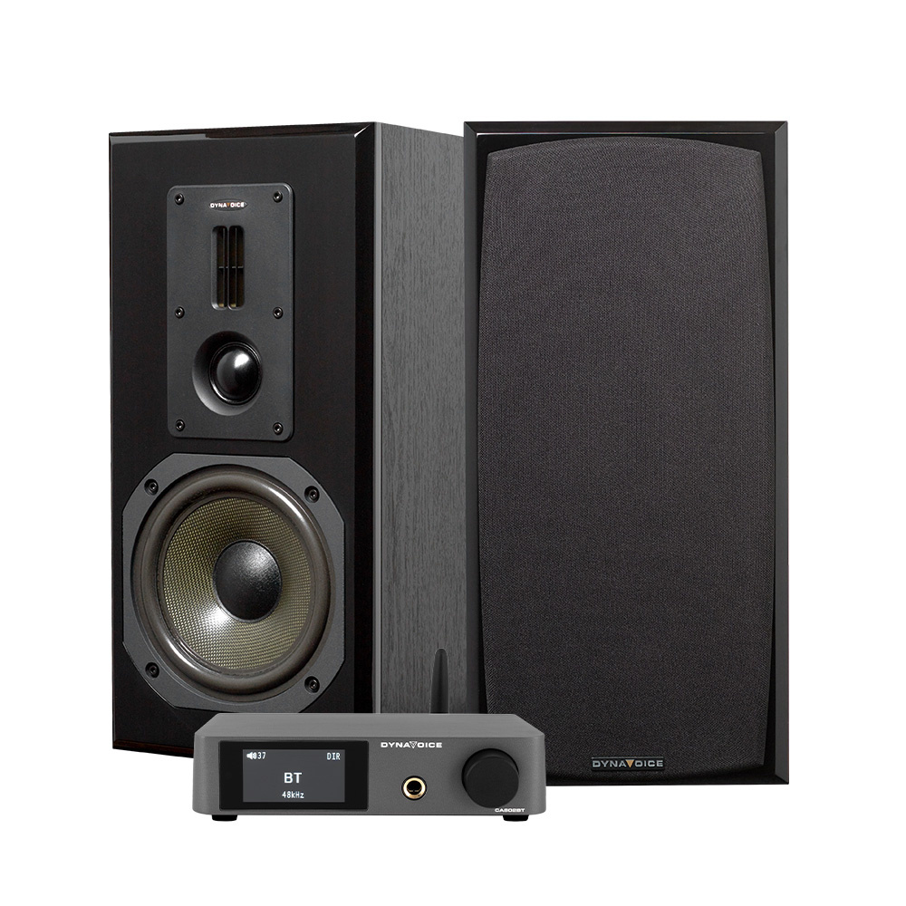 Ljudsystem med högtalare och en Bluetooth-förstärkare.