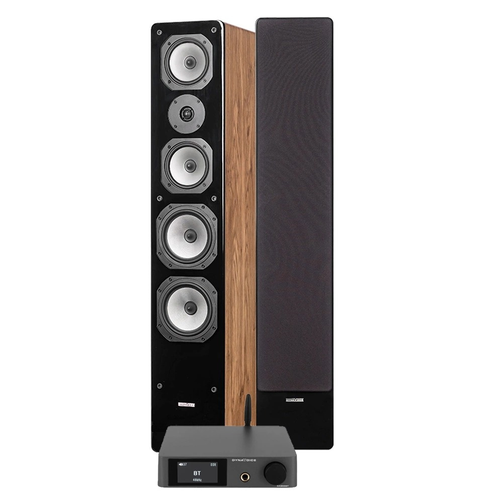 Stereopaket med golvhögtalare och ljudenhet, elegant design och kraftfull ljudprestanda.