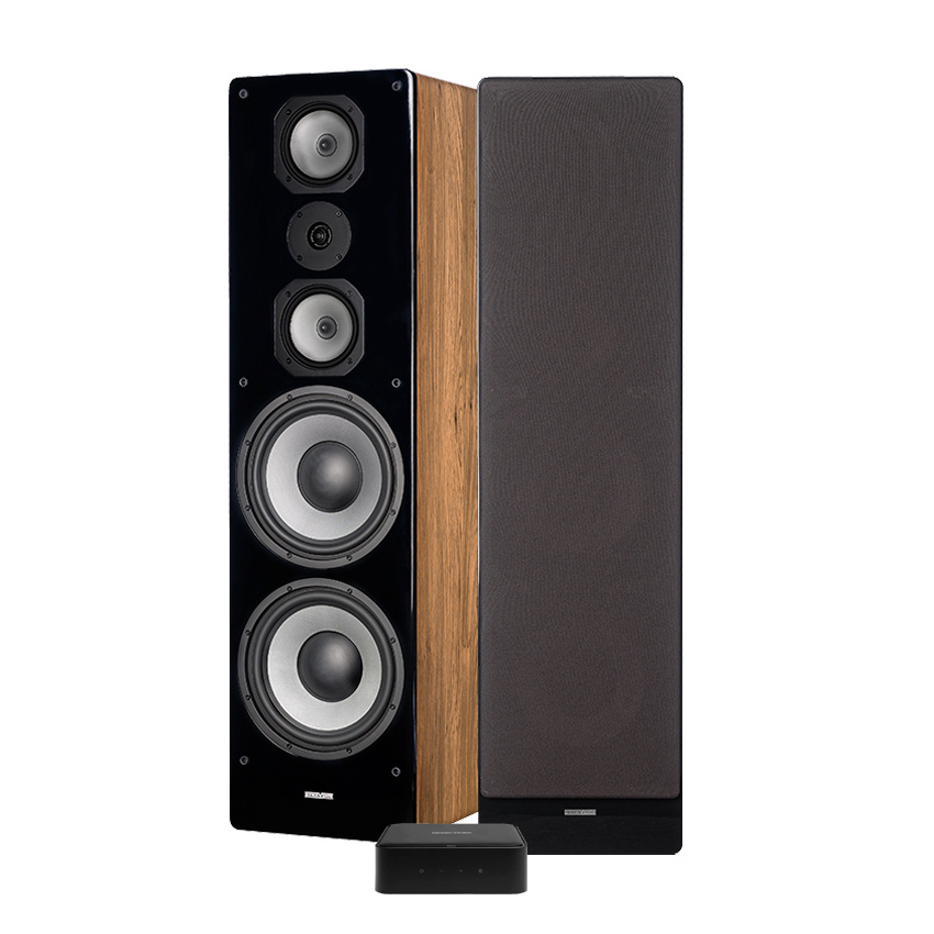 Citation Amp & Dynavoice M-105 i ek, stereopaket