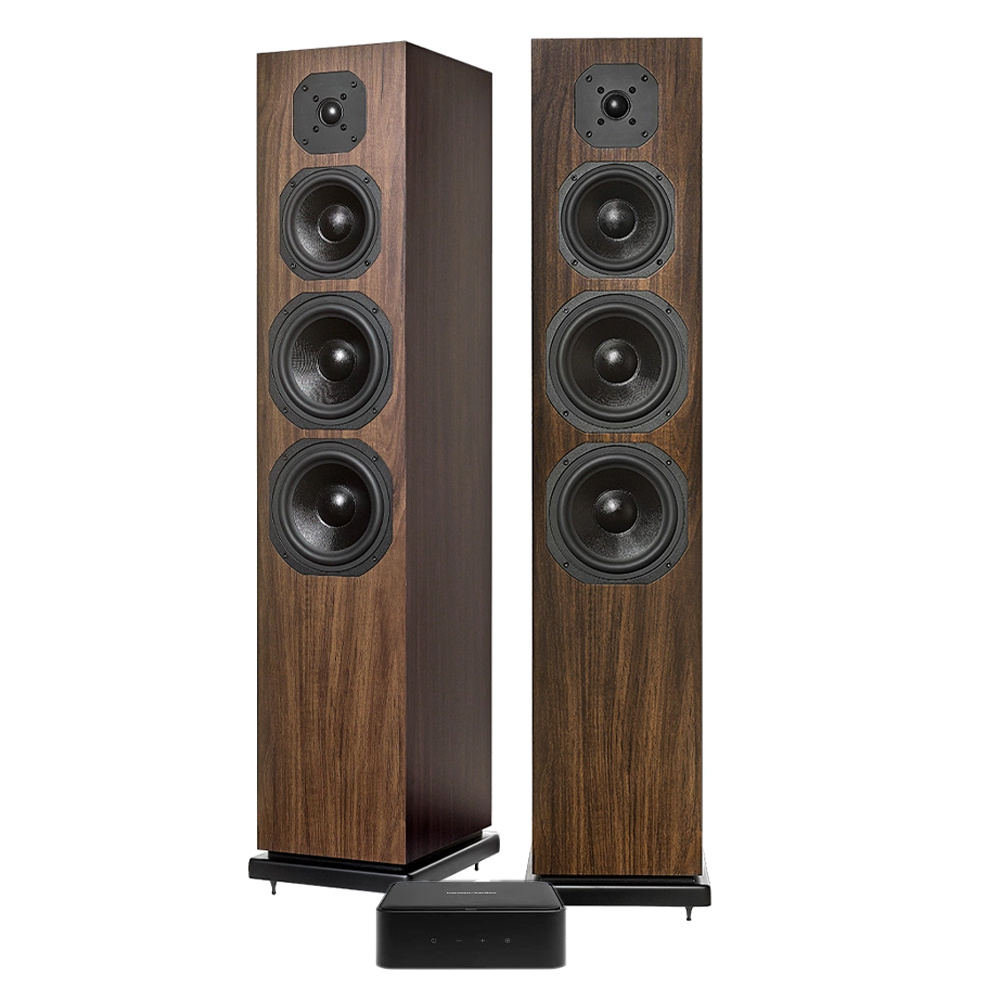 Citation Amp & Dynavoice CL-26 stereopaket, valnöt