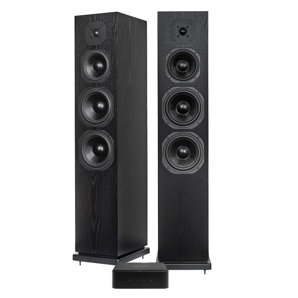 Citation Amp & Dynavoice CL-26 stereopaket, svart