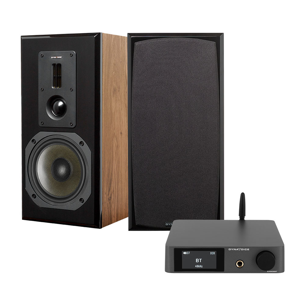 Stereopaket med träfinish, högtalare och en Bluetooth-förstärkare.