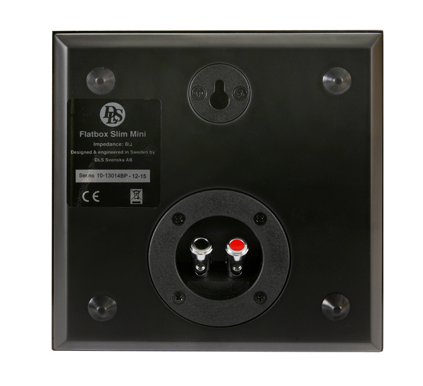 Högtalarens bakpanel med anslutningar och monteringssystem.