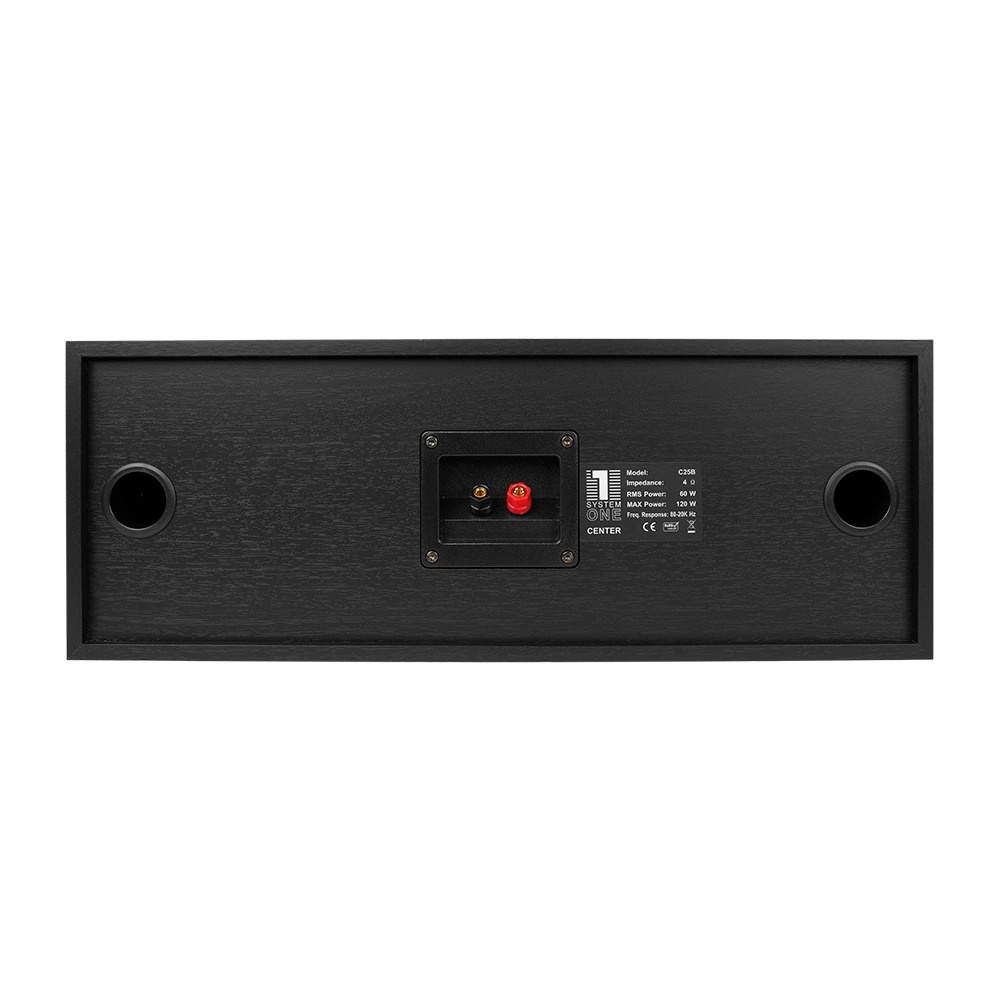 Bakpanel av högtalare med anslutningar och avluftningshål.