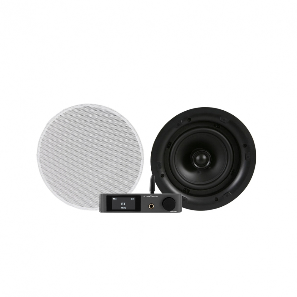 Dynavoice CA802BT med DLS IC624, inbyggnadspaket