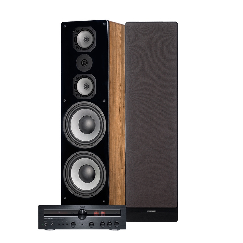 Magnat MR780 & Dynavoice Challenger M-105 EX v4 Ek golvhögtalare