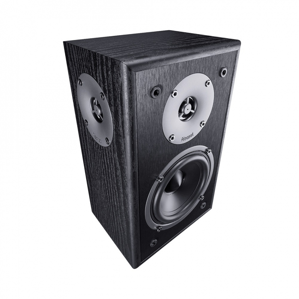 Svart högtalare med två element och en konisk form.