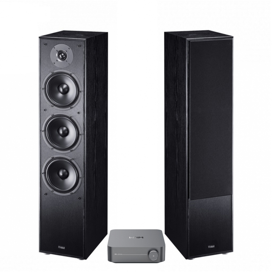 Högtalare med tre element och förstärkare i svart design.