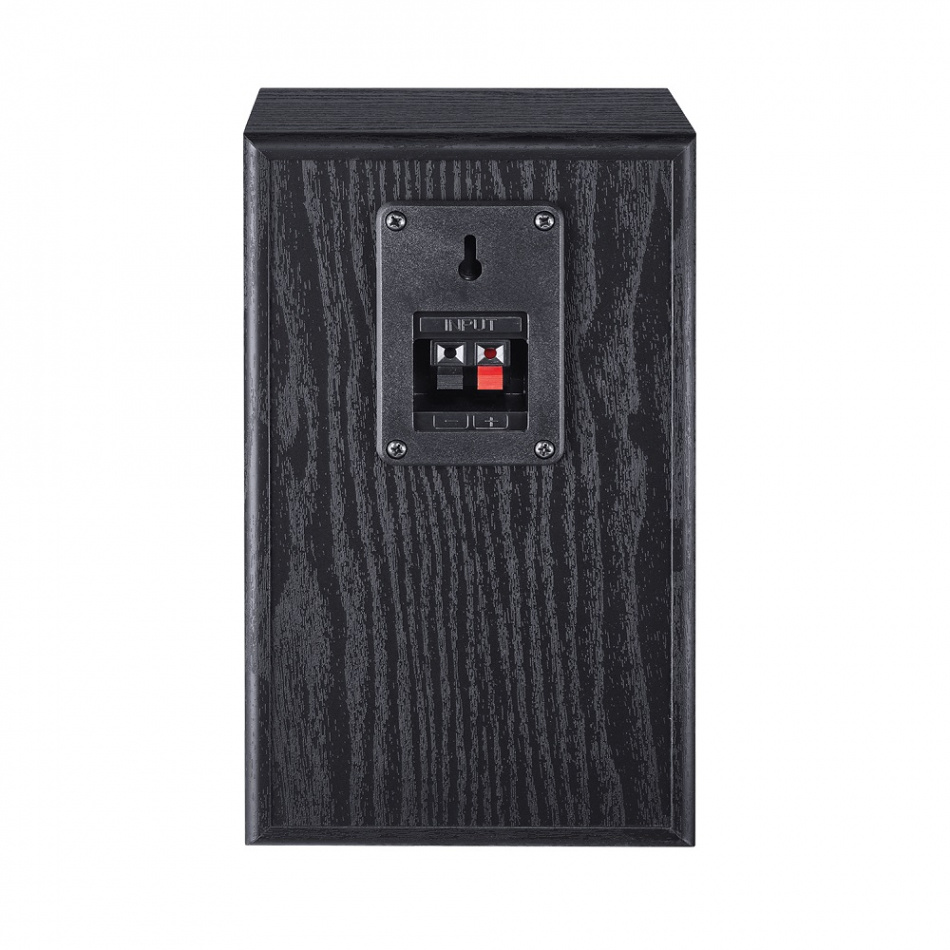 Bakre ljudanslutning för högtalare, svart träfinish, del av ljudsystem.