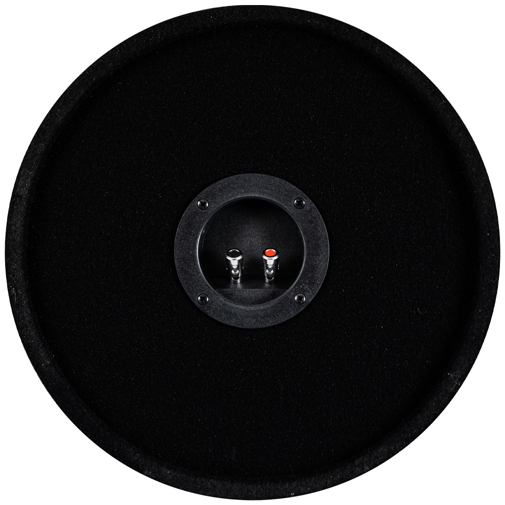 En rund svart högtalare med anslutningar på baksidan.