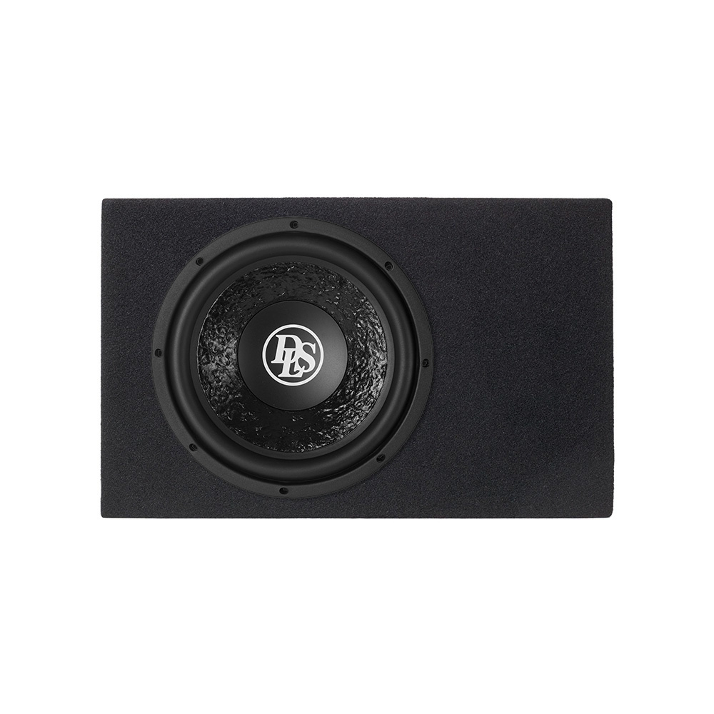 Portad 1x10 tum baslåda med DLS PE10.D2