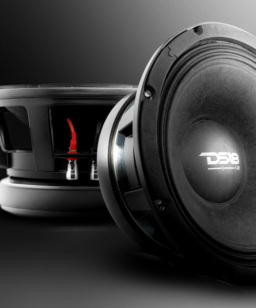 Två 10 tum midbashögtalare från DS18 med en robust design.