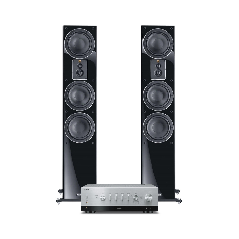 Högtalare och förstärkare i svart och silver, elegant design.