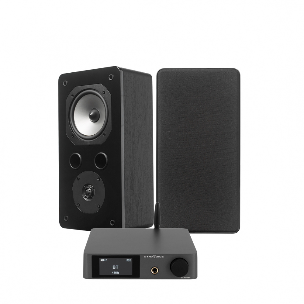 Ett stereopaket med högtalare och ljudförstärkare i vitt och svart.