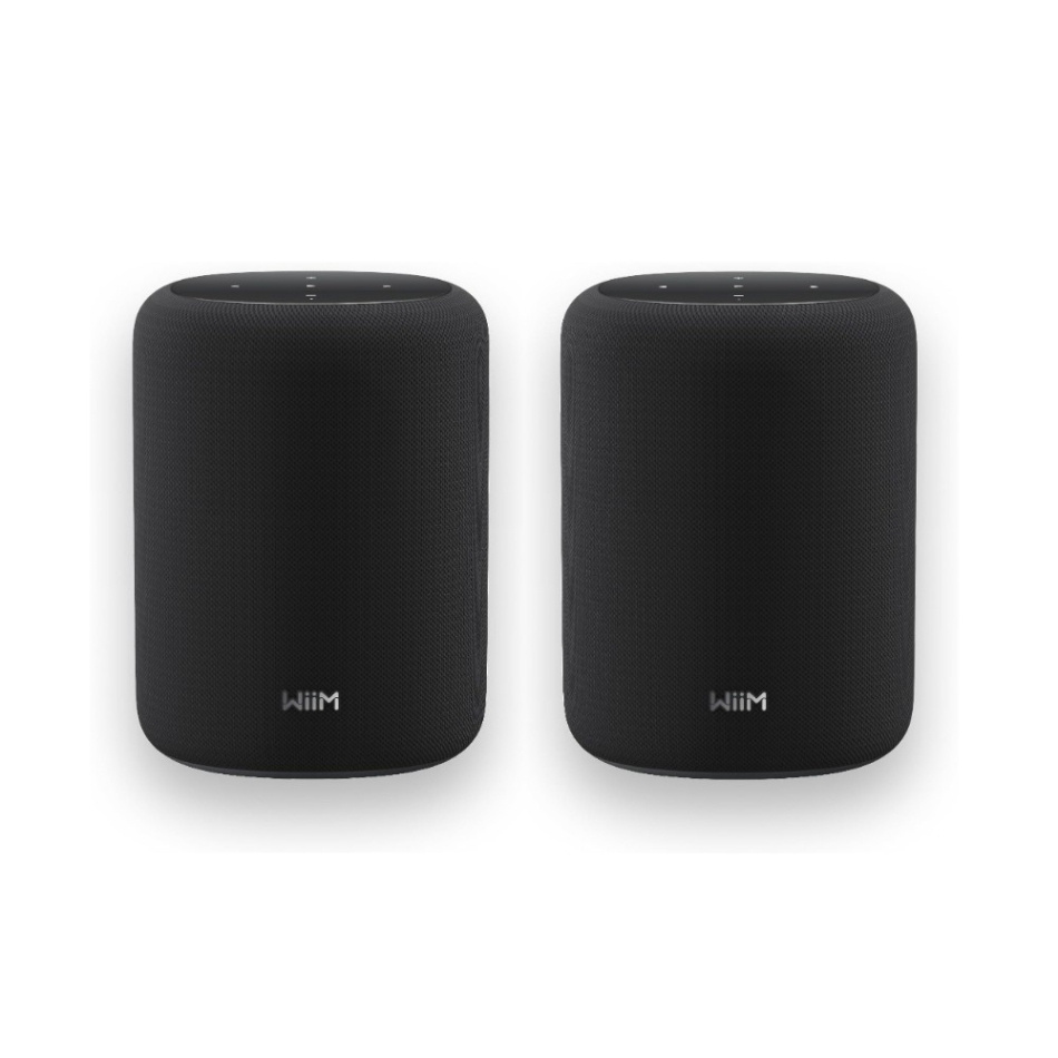 2-pack WiiM Sound Lite smart högtalare, svart
