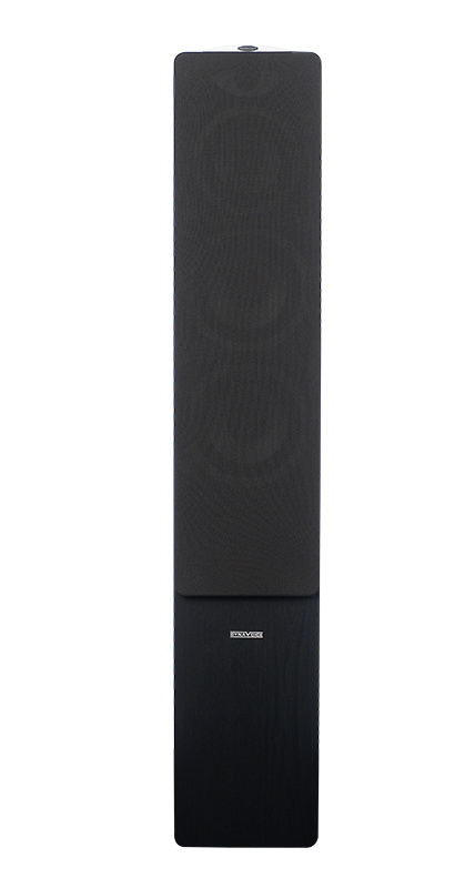 En svart golvhögtalare med två element och en basdel.